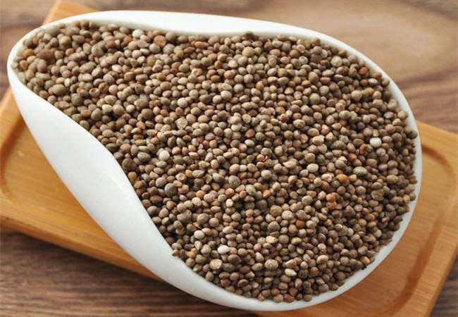 1567409564131492.jpg 蘇子.jpg