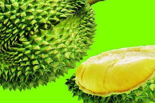 怎么挑選榴蓮 怎么挑選榴蓮
