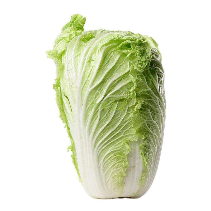 白菜 白菜