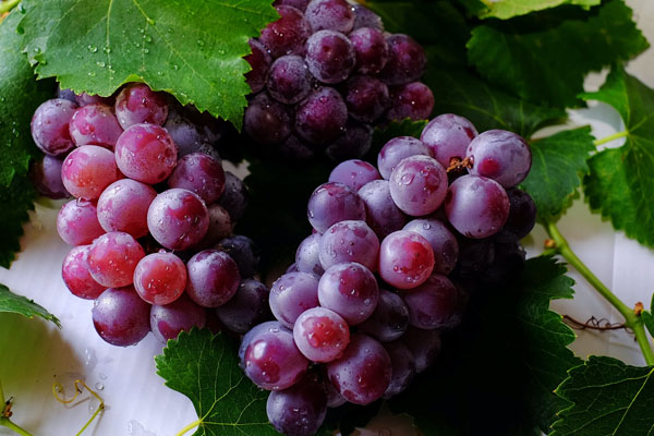 1586421668127038.jpg 5.jpg