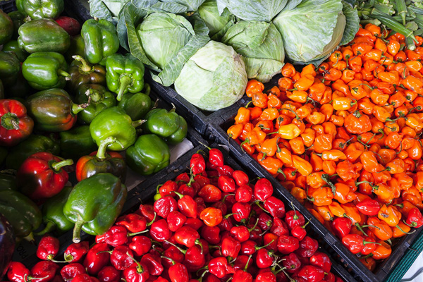 低熱量的蔬菜有哪些？