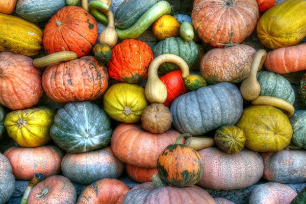 昆明生鮮配送公司哪家好？