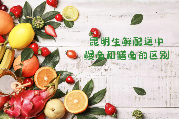 鰻魚(yú)和鱔魚(yú)的區別 鰻魚(yú)和鱔魚(yú)的區別