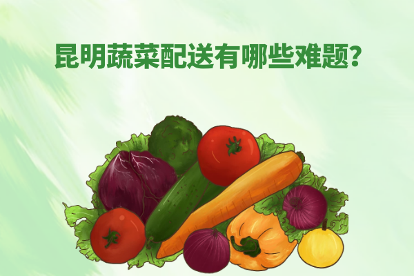 昆明蔬菜配送有哪些難題？
