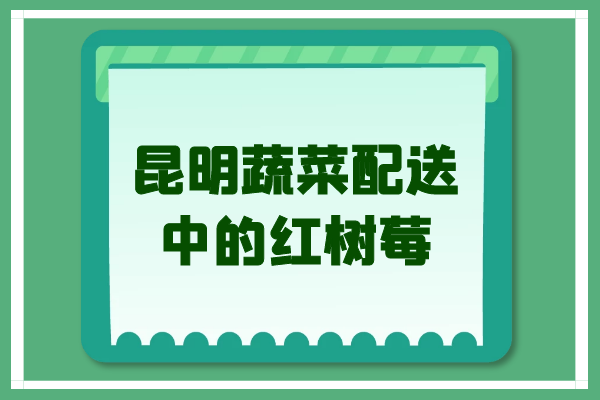 昆明蔬菜配送中的紅樹(shù)莓 昆明蔬菜配送中的紅樹(shù)莓