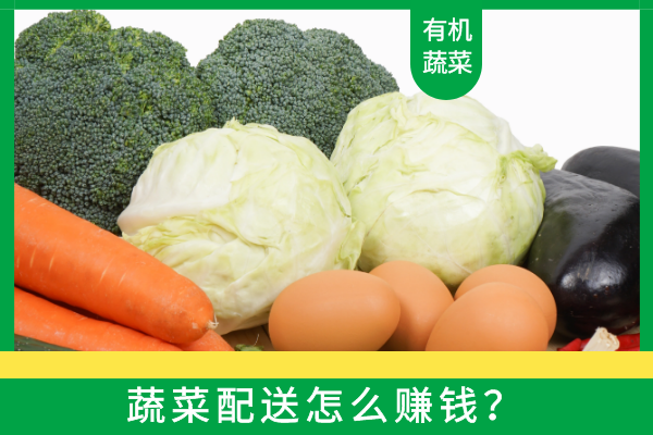 蔬菜配送怎么賺錢(qián)？