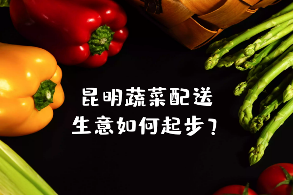 昆明蔬菜配送生意如何起步？