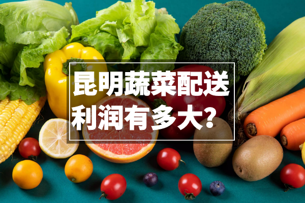 昆明蔬菜配送利潤有多大？