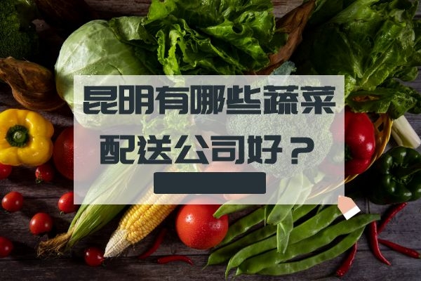 昆明有哪些蔬菜配送公司好？