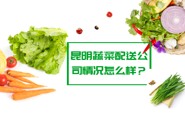 昆明蔬菜配送公司情況怎么樣？