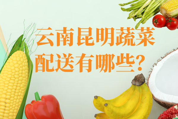 云南昆明蔬菜配送有哪些？