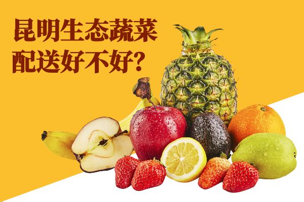 昆明生態(tài)蔬菜配送好不好？