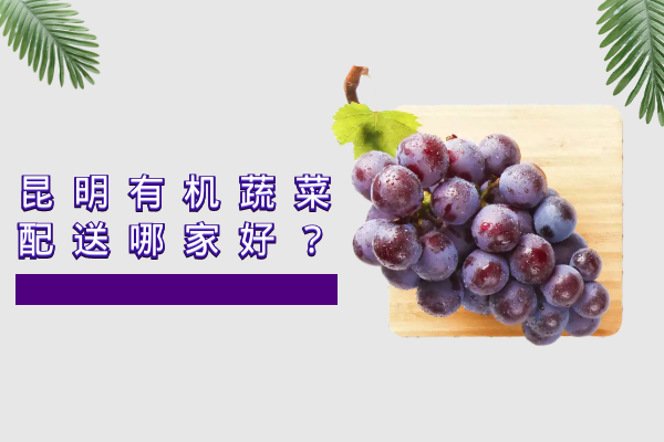 昆明有機蔬菜配送哪家好？