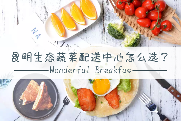 昆明生態(tài)蔬菜配送中心怎么選？