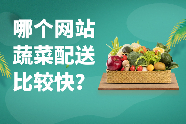 哪個(gè)網(wǎng)站蔬菜配送比較快？