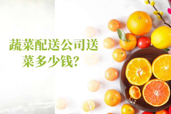 蔬菜配送公司送菜多少錢(qián)？